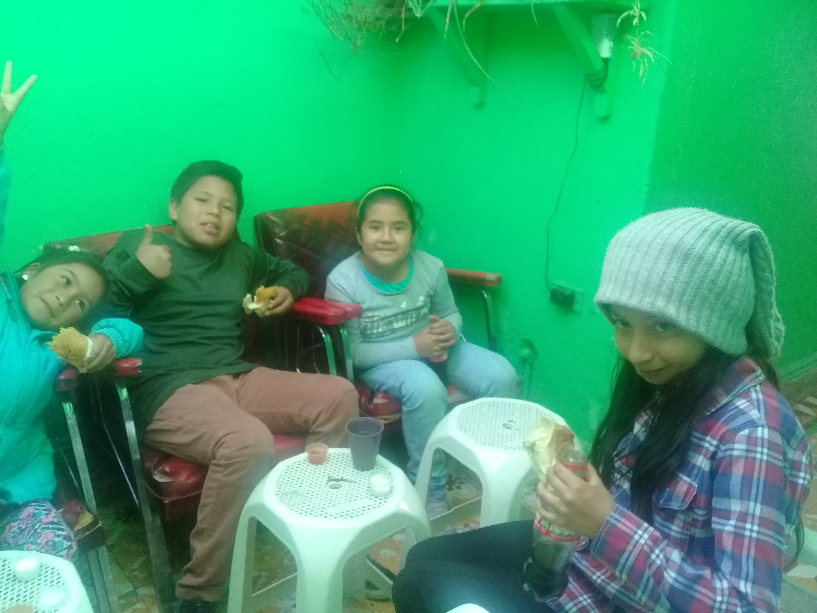 Copyright© 2023, Estudiantes Alapins® Centro Pedagógico.